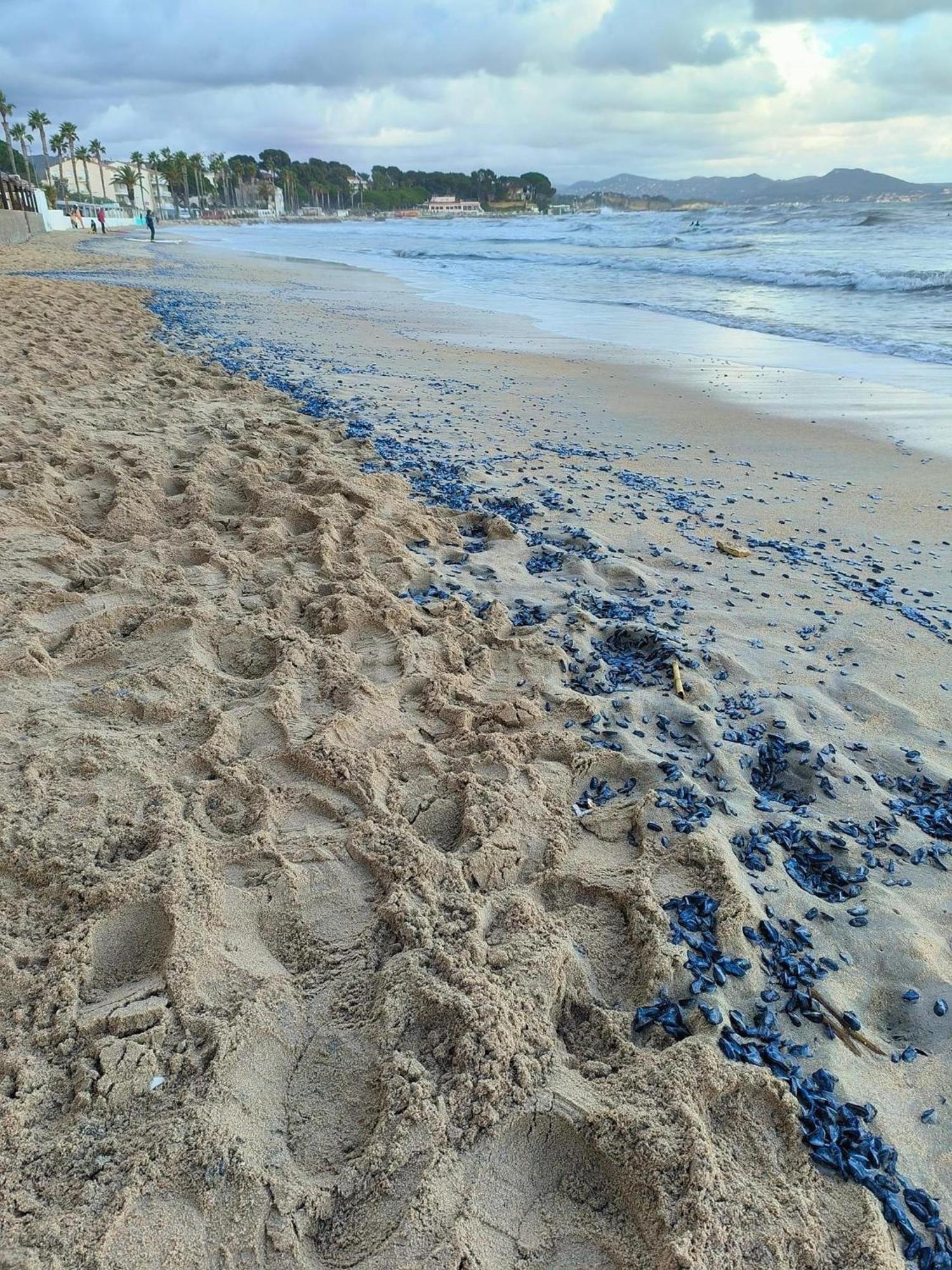Villa Andalucia, Pisc Chauf Mai A Sept La Ciotat Buitenkant foto